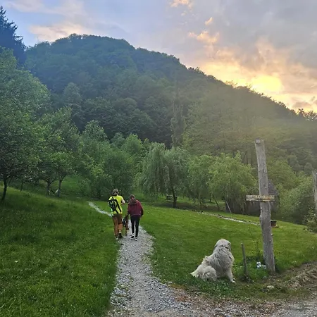 Gasthuis Pensiunea Lupul Dacic Costeşti