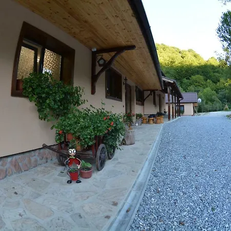 Gasthuis Pensiunea Lupul Dacic 3*