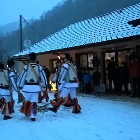 Gasthuis Pensiunea Lupul Dacic 3*